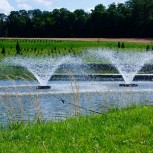 F1000F Aerating Fountain